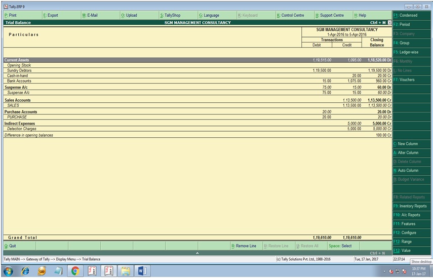 FLEXIBLE LINES PRINTING IN REPORTS